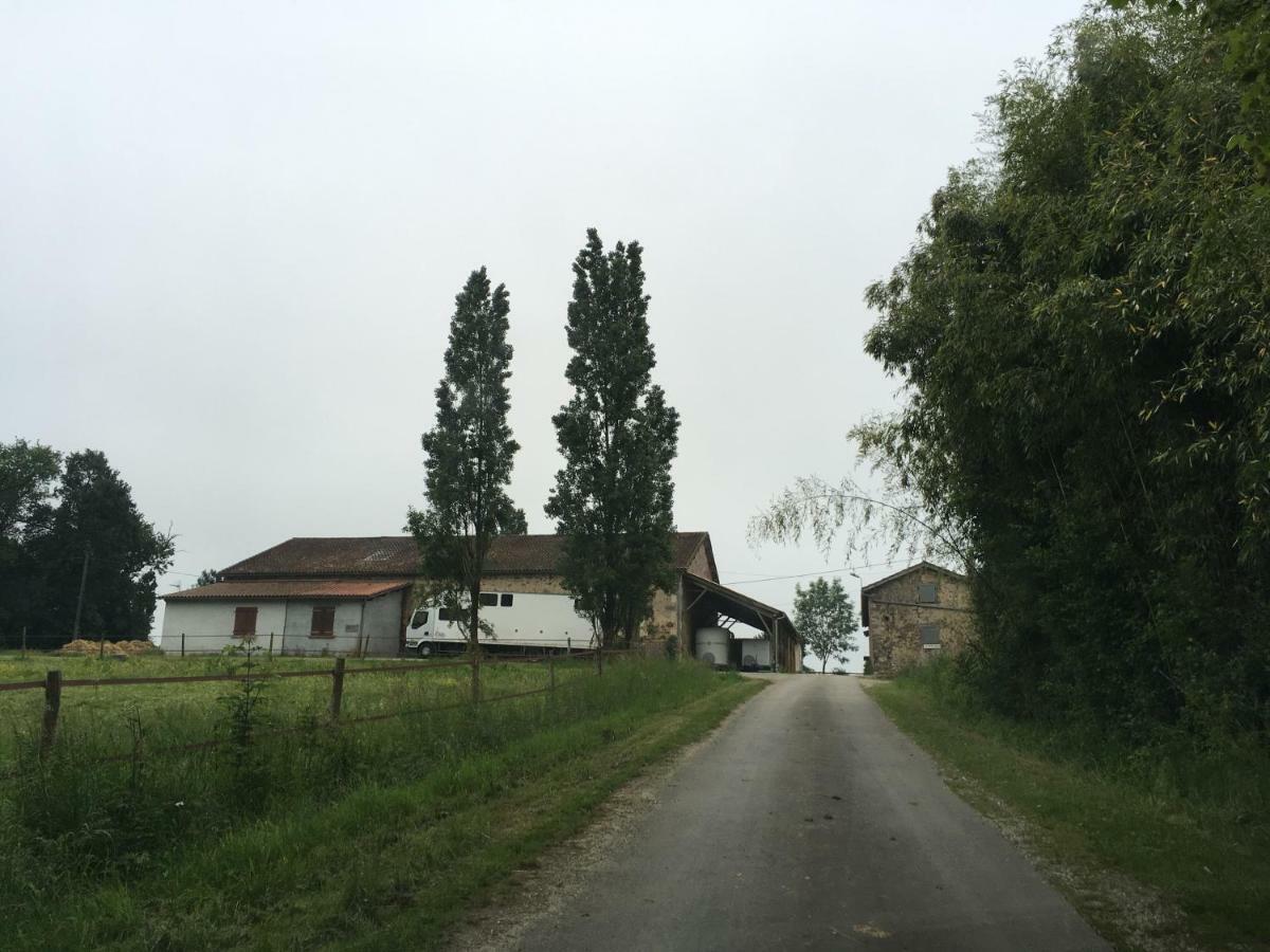 Ferme Gite Equestre En Charente Confolens Bagian luar foto