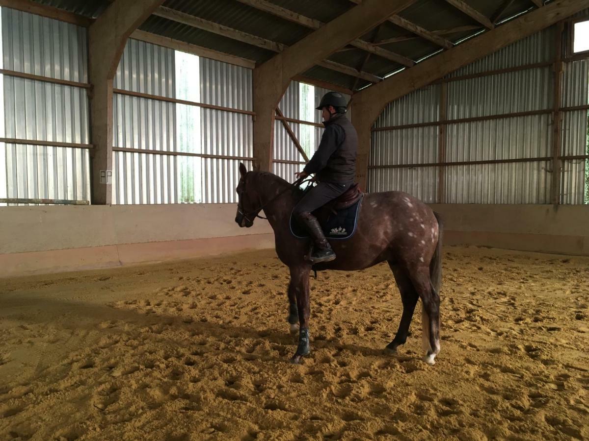 Ferme Gite Equestre En Charente Confolens Bagian luar foto